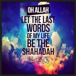 Meet your Posher, Mariam